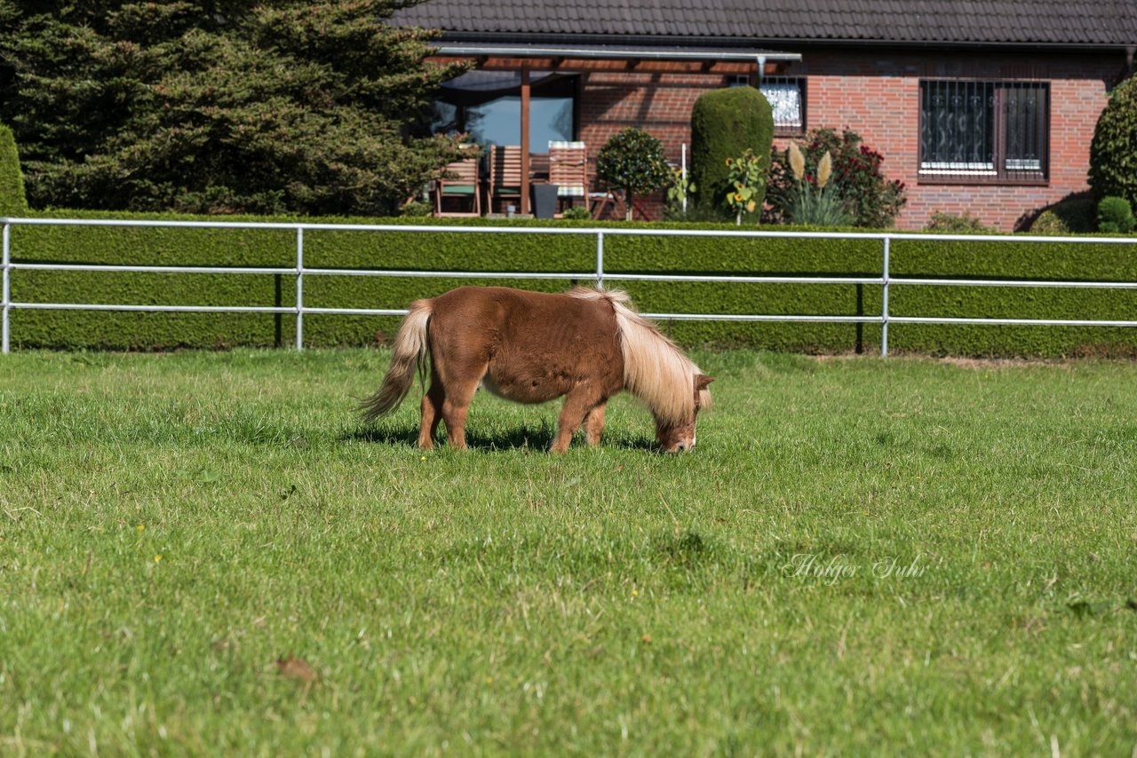 Bild 38 - Fuchshof Turnier